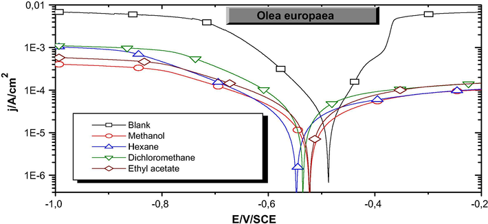 Polarization curves of mild steel after 1 h of immersion in NaOH (0.1 M) + NaCl (0.5 M) in the absence and presence of different organic extracts of Oleaeuropaea L.