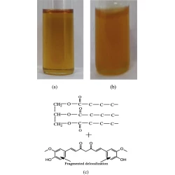 Article figure