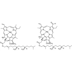 Article figure