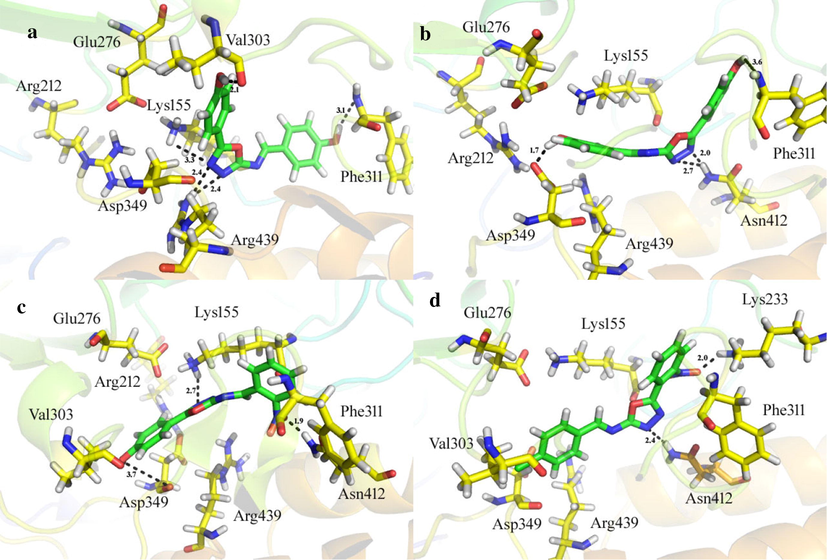 On active site of the α-glucosidase enzyme, the docking confirmations of the active analogs (a) three dimension binding mode of analog 7 (b) three dimension binding mode of analog 6 (c) three dimension binding mode of analog 4 (d) three dimension binding mode of analog 2.