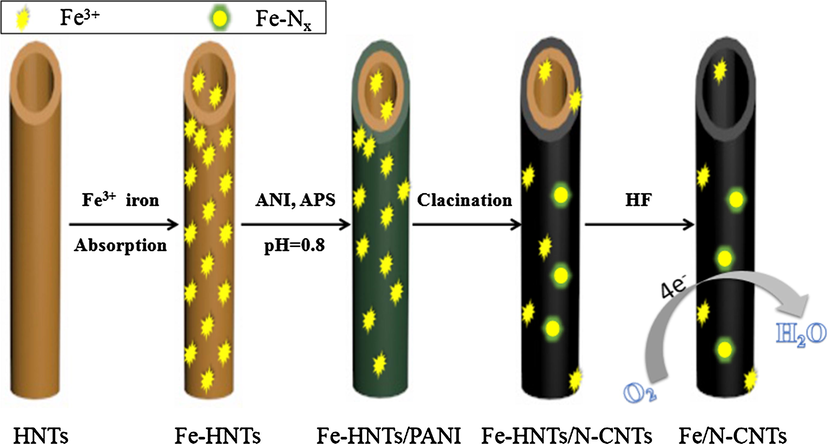 Schematic representation of the preparation processes of Fe/N-CNTs.