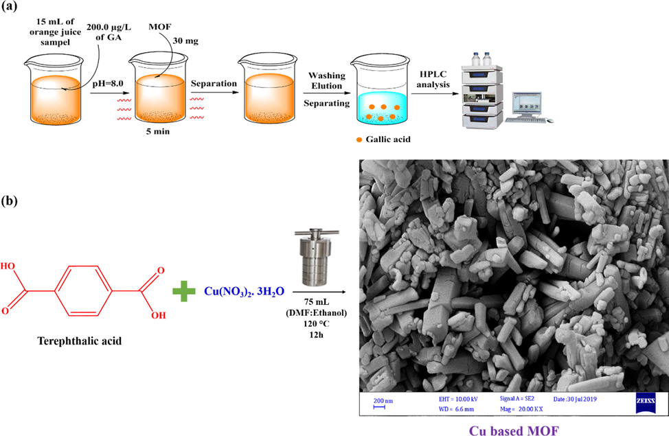 The Cu-BDC based DSPE procedure for gallic acid extraction (a) and the basic preparation procedure of Cu-BDC (b).