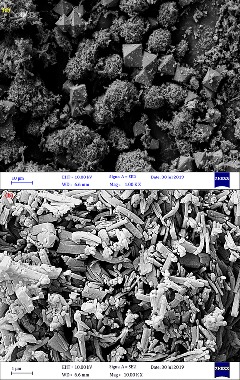 The SEM images of prepared Cu-BDC.