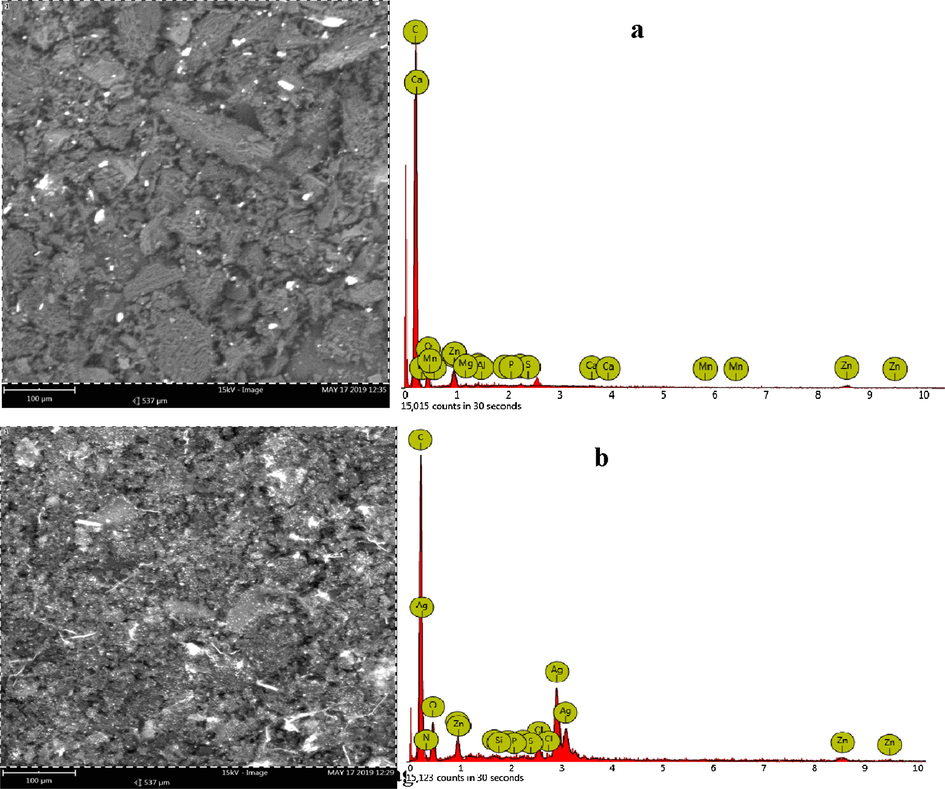 SEM-EDX images of (a) ACZ and (b) ACZ/AgNP.