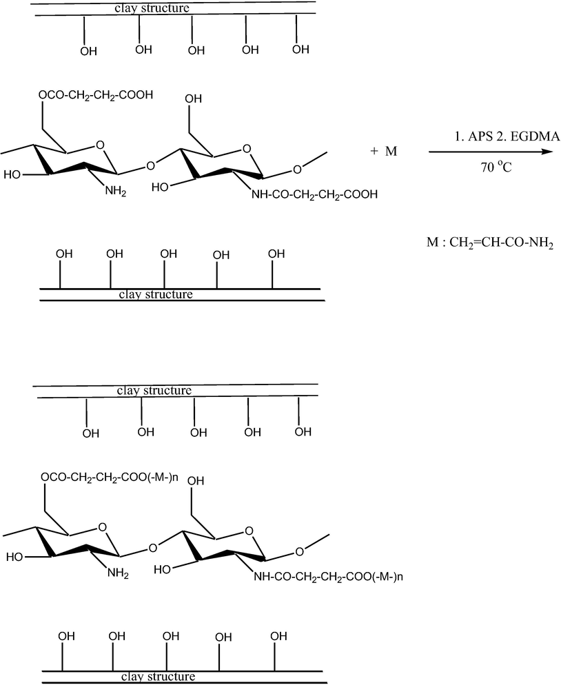 The proposed reaction scheme for the synthesis of AAm-g-NB/SC.