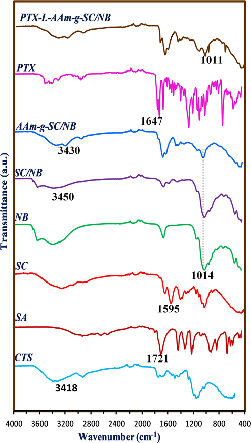 FT-IR spectra of CTS, SA, SC, NB, SC/NB, AAm-g-SC/NB, PTX and PTX loaded AAm-g-SC/NB.