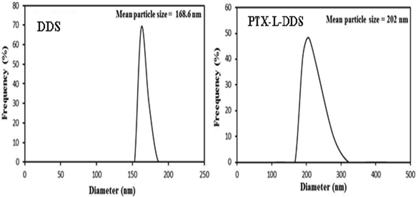 DLS of AAm-g-NB/SC and PTX-L-AAm-g-NB/SC.