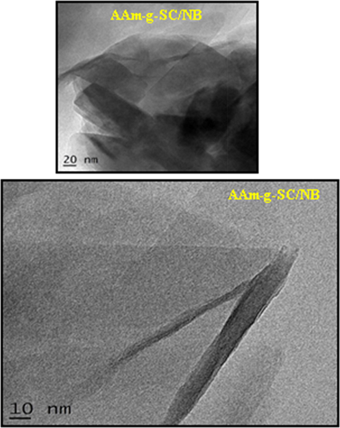 TEM image of AAm-g-SC/NB.