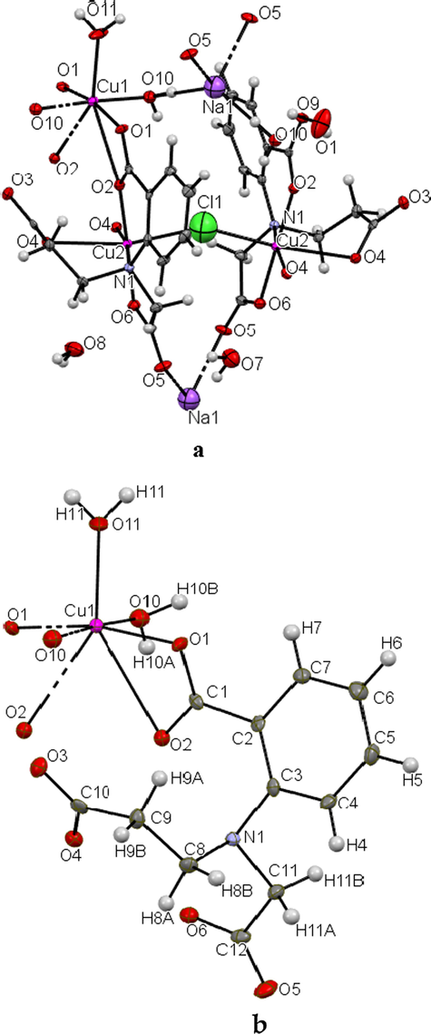 (a) Part of the polymeric chain of (1), showing the atom-numbering scheme. Displacement ellipsoids are drawn at 50% probability level. C-bound H atoms omitted for clarity. [Symmetry codes: (1) 1-x, 1-y, z; (ii) 1-x,2-y, z; (iii) 1-x,1-y,1 + z; (iv) x, y, −1 + z; (v) x, y, −1 + z]. (b) Part of asymmetric unit of (1) showing the coordination environment of the Cu1.