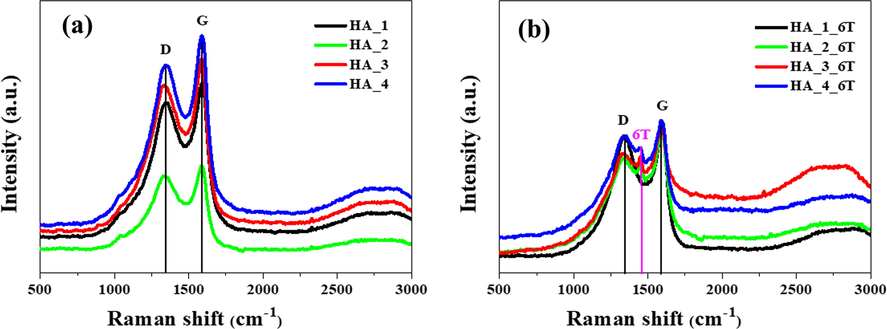 Raman spectra of carbon obtained in series: (a) HA_X and (b) HA_X_6T.