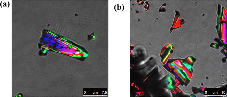 Confocal microscopy images of (a) HA_1_6T and (b) HA_2_6T.