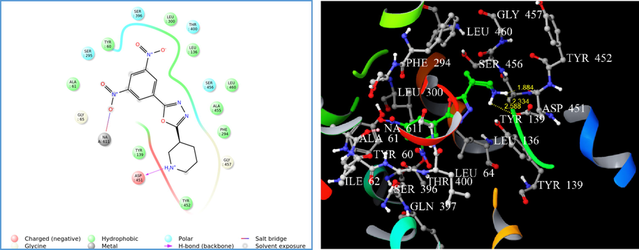 (A) 2D interaction diagram of compound 4m. (B) Docking of compound 4m on homology modelled GAT1 GABA transporter and hydrogen bonded with ASP 451 shown as yellow dash.