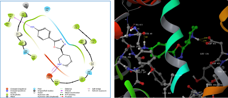 (A) 2D interaction diagram of compound 4n. (B) Docking of compound 4n on homology modelled GAT1 GABA transporter and hydrogen bonded with TYR 60 and ASP 451 shown as yellow dash.