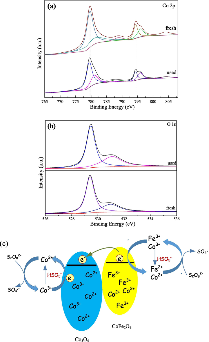 (a) Co 2p and (b) O 1s XPS envelop of the fresh and used Co3O4/CoFe2O4 catalyst; (c) Mechanism for RhB degradation by Co3O4/CoFe2O4/PS system.