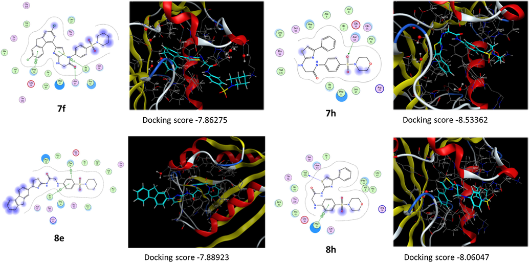 2D and 3D representation of compounds 7f, 7h, 8e, and 8h interaction with DHFR enzyme.