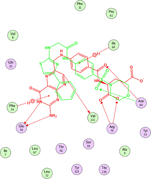 Overlay of compound 7h to folate in the vicinity of active site.