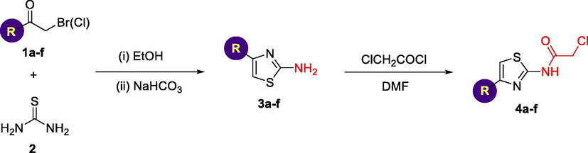 Synthesis of 2-chloro-N-(4-substituted-thiazol-2-yl)acetamides 4a-f.