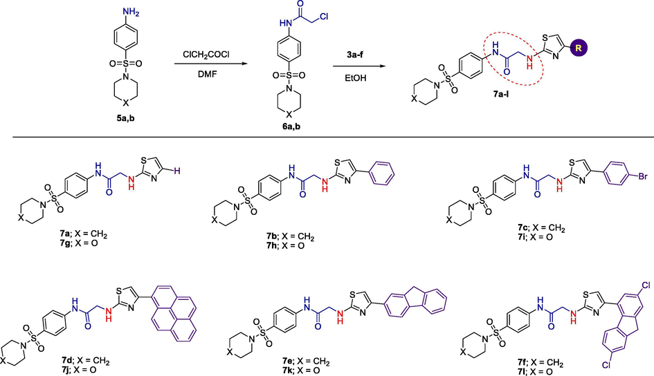 Synthesis of 2-(4-substituted-thiazol-2-ylamino)acetamides bearing sulfonamide moiety 7a-l.