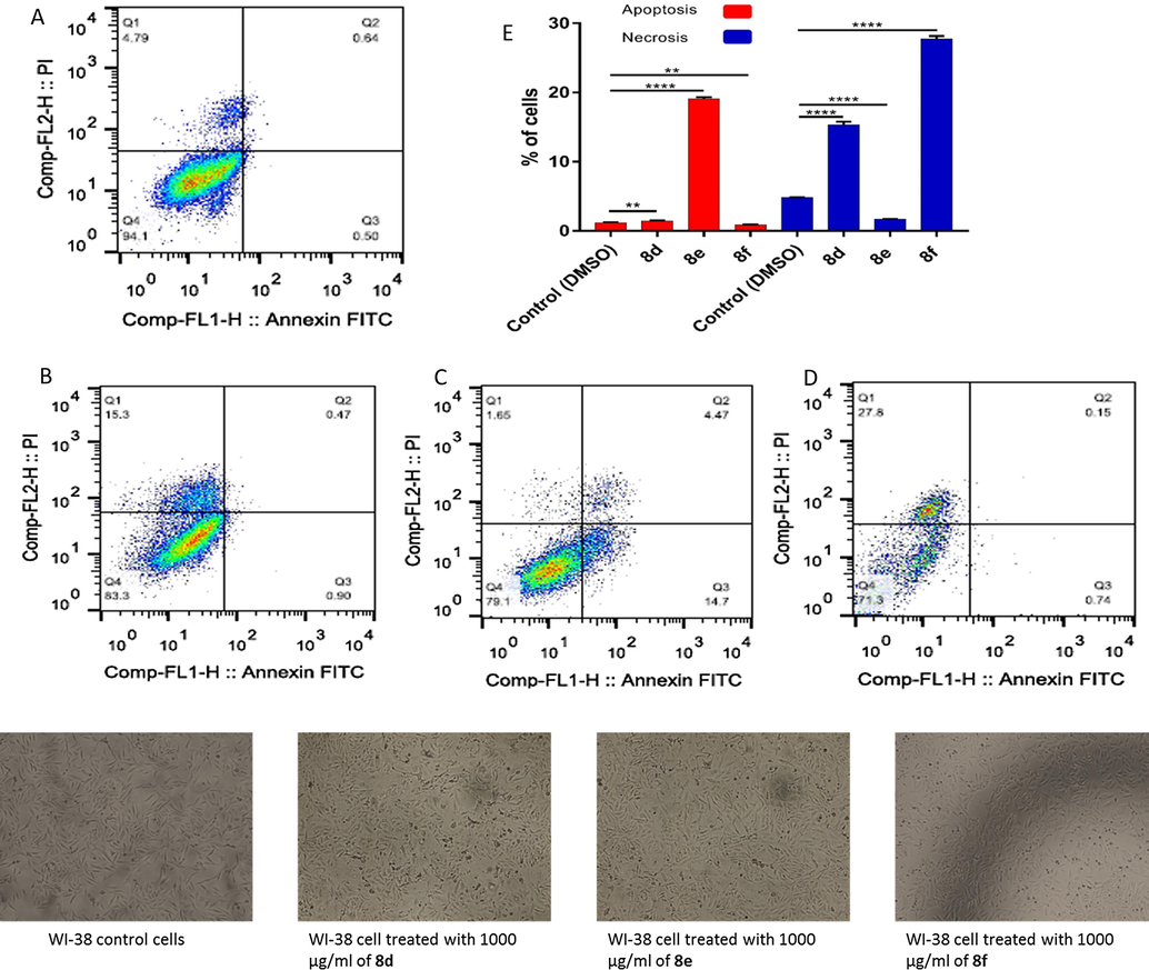 Apoptotic and necrotic cell death were assessed using Annexin V and Probidium Iodide (PI) staining and analyzed using flow cytometer after 24 h treatment of sulfonamide derivatives. (A) WI-38 cells control (DMSO), (B) WI-38 cell treated with 1000 µg/mL of 8d, (C) WI-38 cell treated with 1000 µg/mL of 8e, (D) WI-38 cell treated with 1000 µg/mL of 8f, and (E) quantification of apoptotic and necrotic cell death for each drug on WI-38 cells, * indicate significant difference (P value < 0.05), **** indicate significant difference (P value < 0.0001).