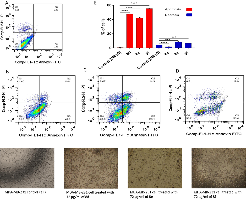 Apoptotic and necrotic cell death were assessed using Annexin V and Probidium Iodide (PI) staining and analyzed using flow cytometer after 24 h treatment with sulfonamide derivatives. (A) MDA-MB-231 cells control (DMSO), (B) MDA-MB-231 cell treated with 12 µg/mL of 8d, (C) MDA-MB-231 cell treated with 72 µg/mL of 8e, (D) MDA-MB-231 cell treated with 72 µg/mL of 8f, and (E) quantification of apoptotic and necrotic cell death for each drug on MDA-MB-231 cells, * indicate significant difference (P value < 0.05), **** indicate significant difference (P value < 0.0001).