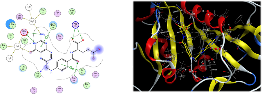 2D and 3D interaction of folate and DHFR enzyme.