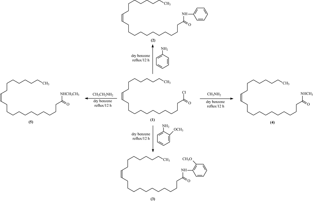 Schematic diagram of synthesis of acid amide derivatives (2–5).