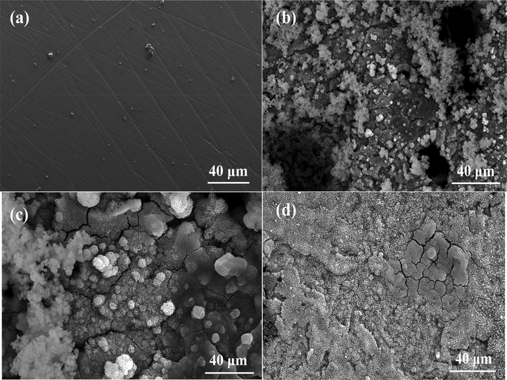 FESEM micrographs of (a) freshly polished mild steel specimen, (b) specimen immersed in 1.00 M HCl in the absence of inhibitors, (c) specimen immersed in 1.00 M HCl containing 100 ppm of compound 2, (d) specimen immersed in 1.00 M HCl containing 100 ppm of compound 7.