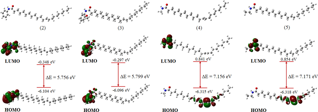 Optimized geometries and frontier orbital distributions of molecules (2) to (5) at B3LYP/6-31g(d).