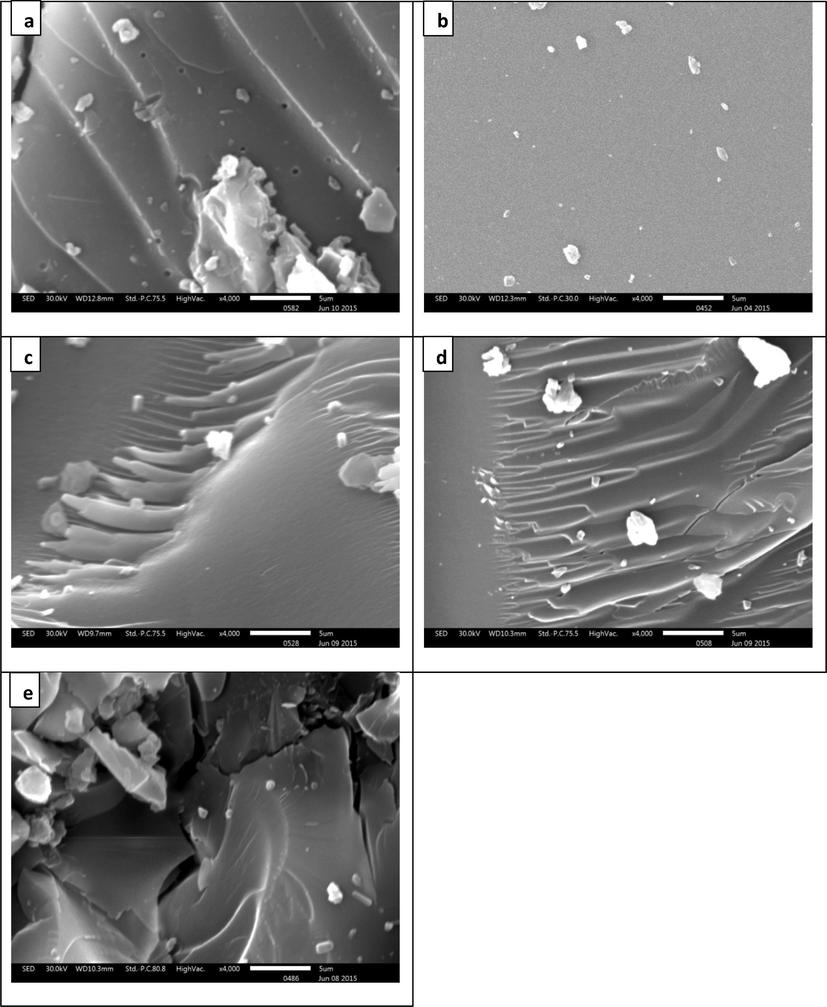 SEM images of asphaltenes (a) RB-AR: (b) RB-VR, (c) RB-VR 400 °C, (d) RB-VR 415 °C, (e) RB-VR 430 °C.