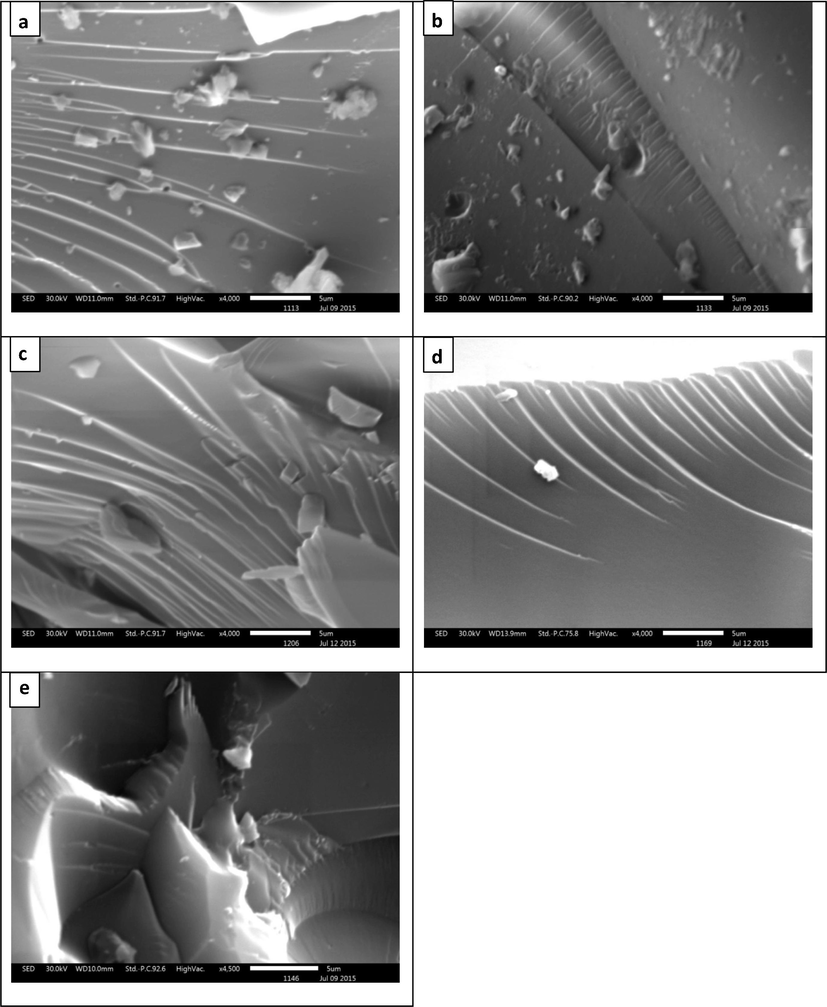 SEM images of asphaltenes (a) LF-AR: (b) LF-VR, (c) LF-VR 400 °C, (d) LF-VR 415 °C, (e) LF-VR 430 °C.