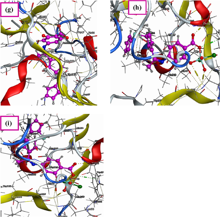 3D structure of the interaction between Schiff base ligand (H2L) with receptors of (a) 4K3V, (d) 2YLB and (g) 3DJD, 3D plot of the interaction between Co(II) complex with receptors of (b) 4K3V, (e) 2YLB and (h) 3DJD and 3D plot of the interaction between Zn(II) complex with receptors of (c) 4K3V, (f) 2YLB and (i) 3DJD.