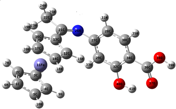 The optimized structure of organometallic Schiff base ligand (H2L).