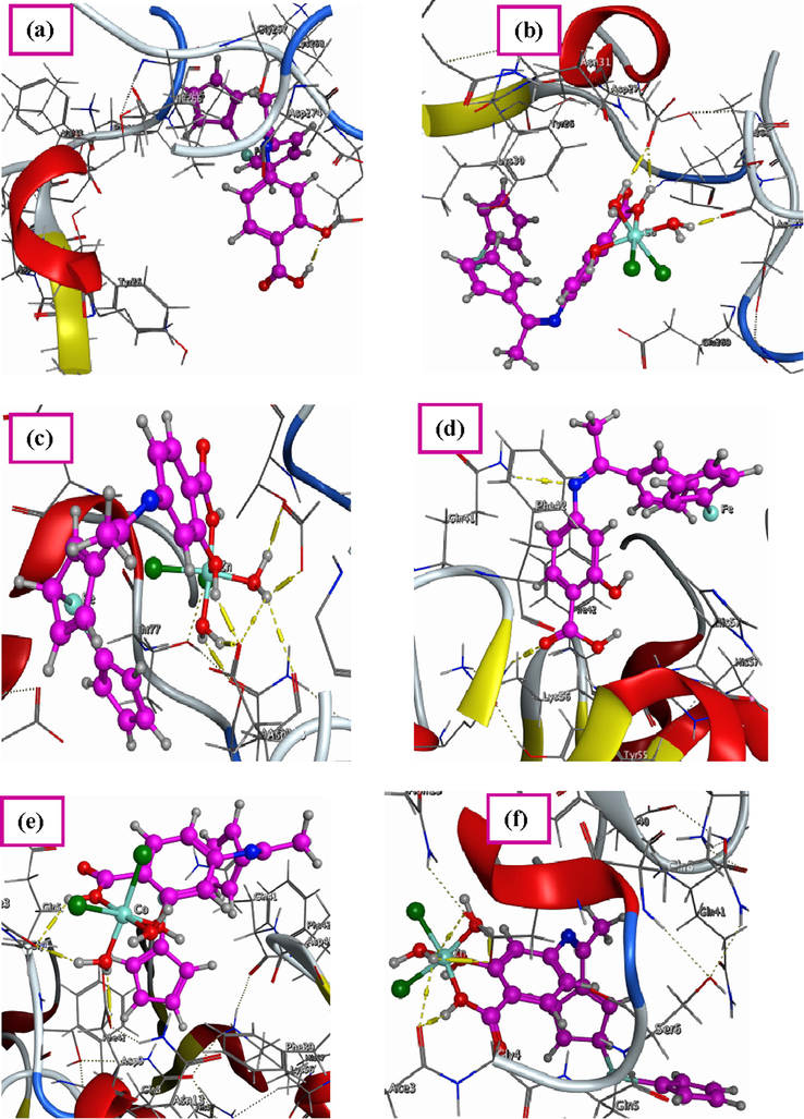 3D structure of the interaction between Schiff base ligand (H2L) with receptors of (a) 4K3V, (d) 2YLB and (g) 3DJD, 3D plot of the interaction between Co(II) complex with receptors of (b) 4K3V, (e) 2YLB and (h) 3DJD and 3D plot of the interaction between Zn(II) complex with receptors of (c) 4K3V, (f) 2YLB and (i) 3DJD.