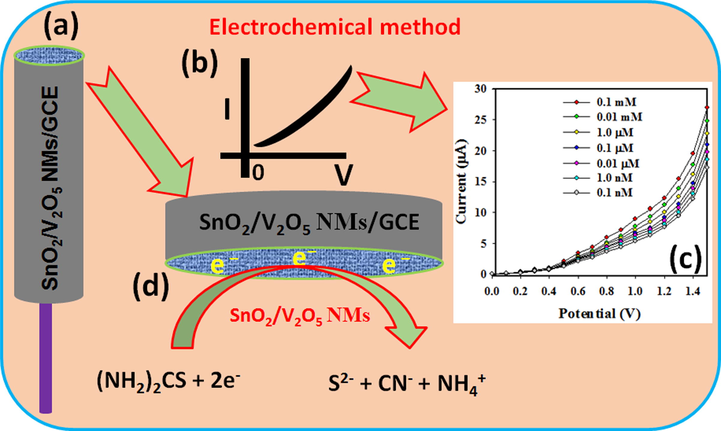 Schematic representation of (a) SnO2/V2O5 NMs coated rod-shaped round-GCE electrode with conducting nafion (5% ethanol) coating binders, (b) expected I-V response by the SnO2/V2O5 NMs/Nafion/GCE, (c) observed I-V response by the SnO2/V2O5 NMs/Nafion/GCE, and (d) proposed detection mechanism of TU, while TU is changed by removing conducting electrons from the SnO2/V2O5 NMs/Nafion/GCE electrodes.