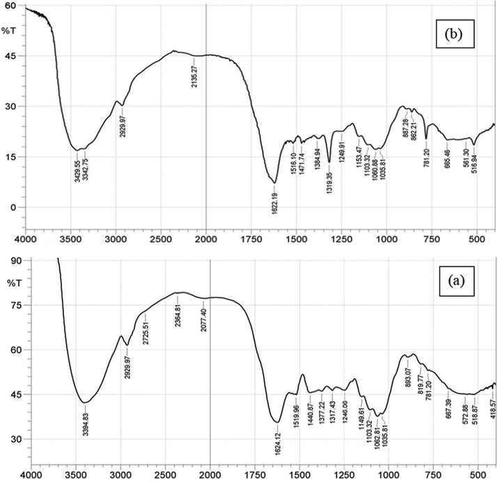 PEF FTIR spectra before (a) and after (b) adsorption process.