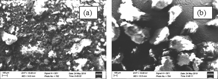 PEF micrograph before (a) and after (b) adsorption process.