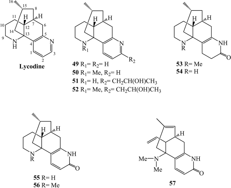 Lycodine alkaloids from L. japonicum.