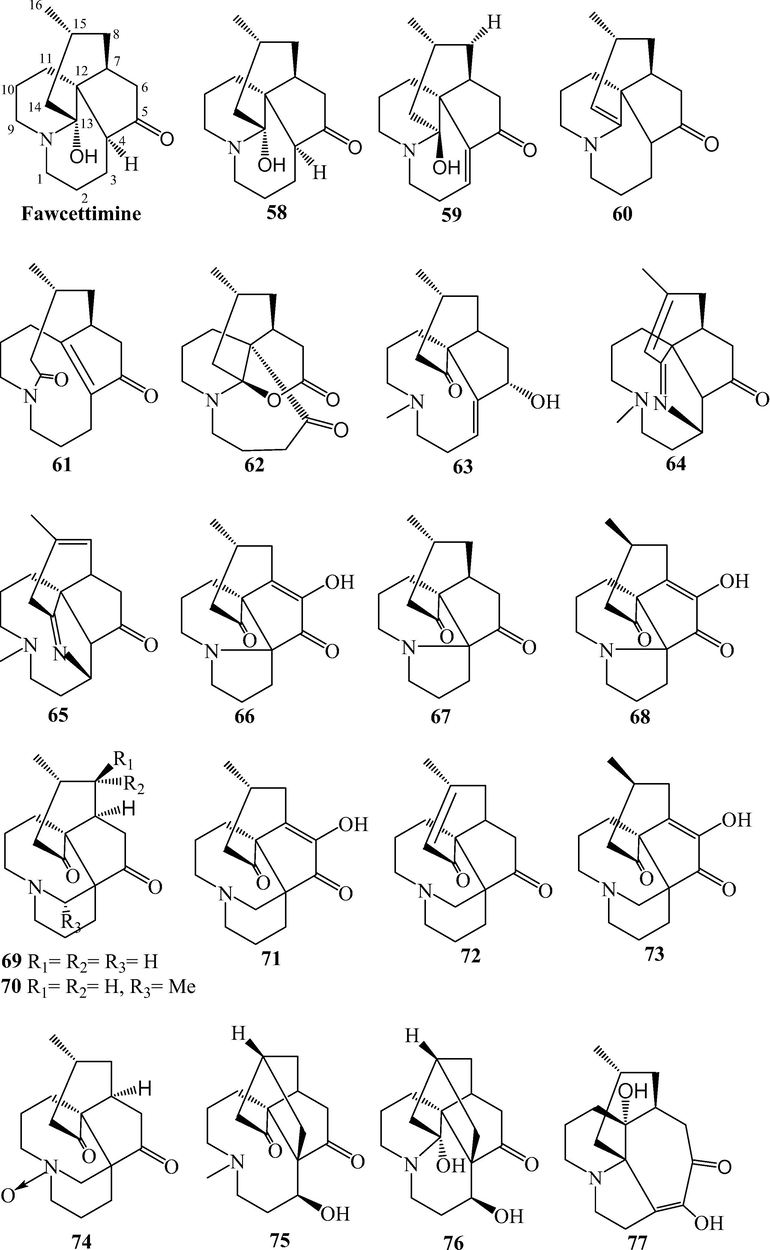 Fawcettimine and phlegmarine alkaloids from L. japonicum.