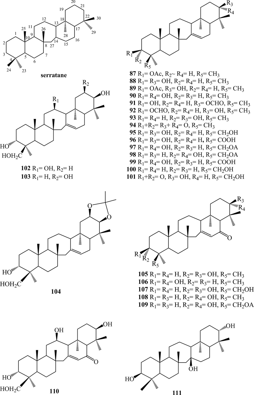 Triterpenoids from L. japonicum.