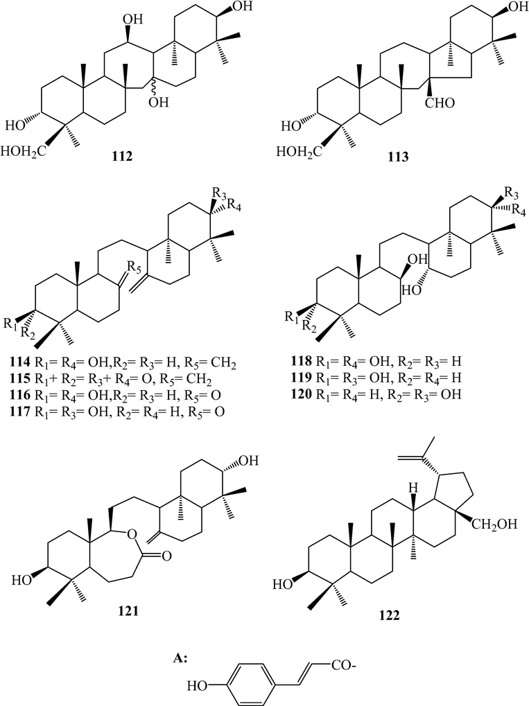 Triterpenoids from L. japonicum.