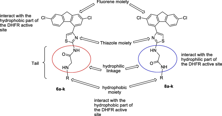 Structural elements of DHFR inhibitors in the DHFR enzymatic active site.