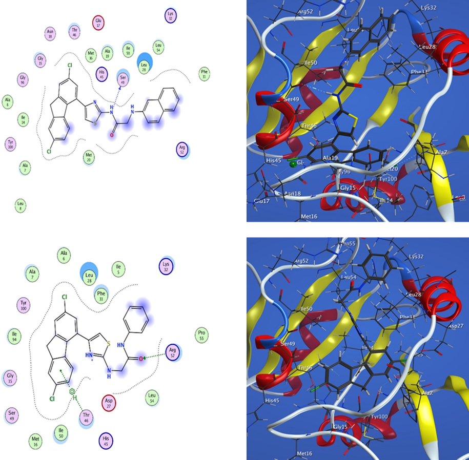 Docking of compounds 6j and 8a into DHFR active sites.