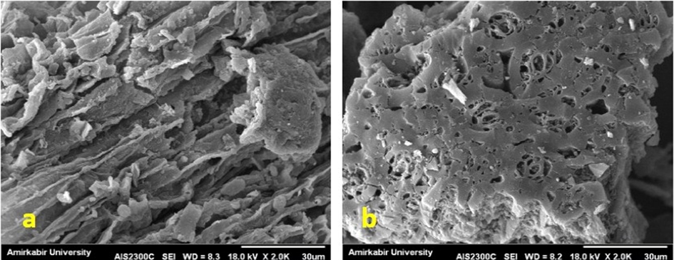 a) SEM of grape stalks powder after adsorption b) SEM of activated carbon blended with grape stalks powder after adsorption.