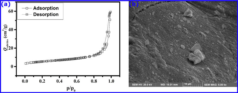 (a) Nitrogen adsorption and desorption isotherms as a function of relative pressure and (b) SEM micrograph obtained for α-Fe2O3.