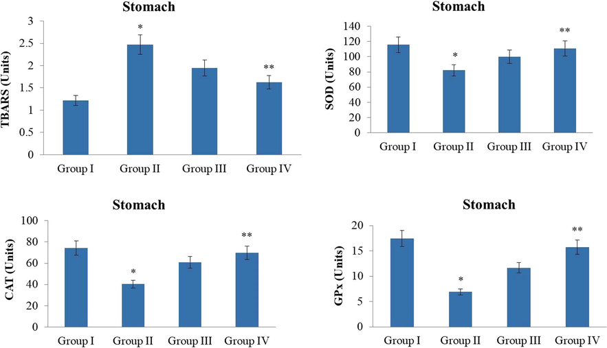 Effect of synthesized ZnO-Pip-NC on TBARS and antioxidant enzymes level in the experimental animals. The supplementation of10 and 20 mg/kg of ZnO-Pip-NC to the GC induced animals exhibited the noticeable augmentation in the antioxidant enzymes i.e. CAT, SOD, GPx status and diminished the lipid peroxidation level.