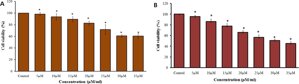 Effect of ZnO and piperine against the AGS cell line viability. As mentioned in the Fig. 5, the treatment with the ZnO and piperine showed the decreased viability of gastric cancer (AGS) cells. The piperine treatment showed the prominent cytotoxicity to the AGS cancer cells than the ZnO.