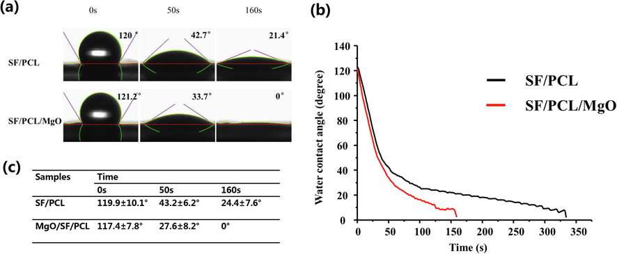 Hydrophilicity of the SF/PCL/MgO electrospun membranes. (a–b) SF/PCL membrane without MgO nanoparticles incorporation completely absorbed the water droplets at 340 s, whereas the WCA reduced to 0 at 160 s with the incorporation of MgO. (c) No significant differences were found in the WCAs of all the groups at 0 s. The SF/PCL/MgO membranes exhibited a smaller WCA than the other groups at 50 s.