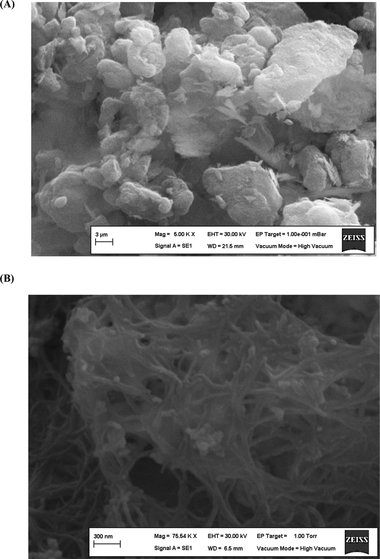 The SEM image (A), EDX spectrum (B) and the XRD pattern (C) of SmNPs/MWCNTs.