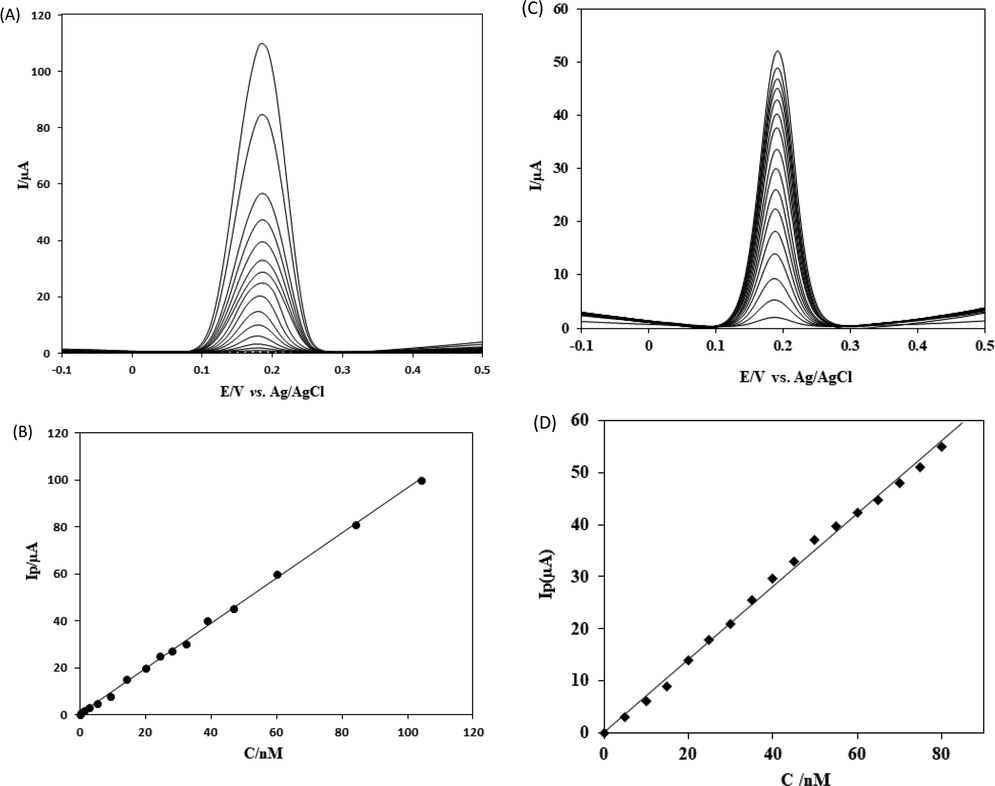 (A) Square wave voltammograms (SWVs) of various CFA concentrations at SmNPs/MWCNTs/GCE in 0.1 mol L−1 PBS at pH 7.0. Frequency: 20 Hz. Step potential: 5 mV. Amplitude: 20 mV. CFA concentrations: 0.0 mol L−1; 5.0 × 10−10 mol L−1; 1.0 × 10−9 mol L−1; 2.0 × 10−9 mol L−1; 3.0 × 10−9 mol L−1; 5.0 × 10−9 mol L−1; 9.0 × 10−9 mol L−1; 1.5 × 10−8 mol L−1; 2.0 × 10−8 mol L−1; 2.2 × 10−8 mol L−1; 2.7 × 10−8 mol L−1; 4.0 × 10−8 mol L−1; 4.5 × 10−8 mol L−1; 6.0 × 10−8 mol L−1; 8.0 × 10−8 mol L−1; 1.0 × 10−7 mol L−1. (B) A plot of peak currents against the concentrations of CFA. (C) Classical solution phase square wave voltammograms (SWVs) of various CFA concentrations at SmNPs/MWCNTs/GCE in 0.1 mol L−1 PBS at pH 7.0. Frequency: 20 Hz. Step potential: 5 mV. Amplitude: 20 mV. CFA concentrations: 0.0 mol L−1; 5.0 × 10−9 mol L−1; 1.0 × 10−8 mol L−1; 1.5 × 10−8 mol L−1; 2.0 × 10−8 mol L−1; 2.5 × 10−8 mol L−1; 3.0 × 10−8 mol L−1; 4.0 × 10−8 mol L−1; 4.5 × 10−8 mol L−1; 5.0 × 10−8 mol L−1; 5.5 × 10−8 mol L−1; 6.0 × 10−8 mol L−1; 6.5 × 10−8 mol L−1; 7.0 × 10−8 mol L−1; 7.5 × 10−8 mol L−1; 8.0 × 10−8 mol L−1. (D) A plot of peak currents against the concentrations of CFA using the solution phase voltammetry.