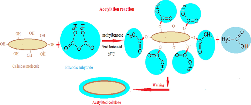 Acetylation process of flax fiber.